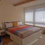 בית נופש Haegel באד שטבן